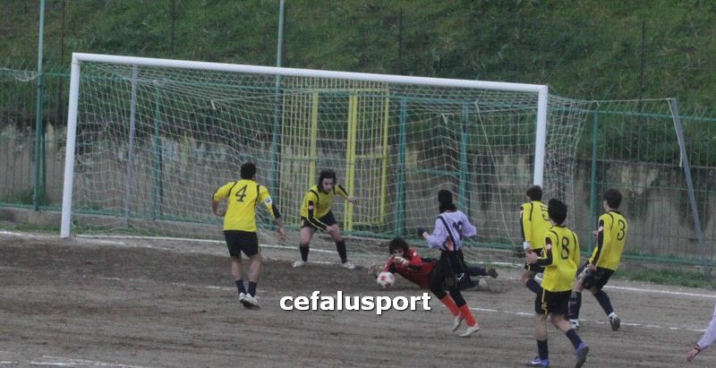 120310 stefanese 264y_tn.jpg